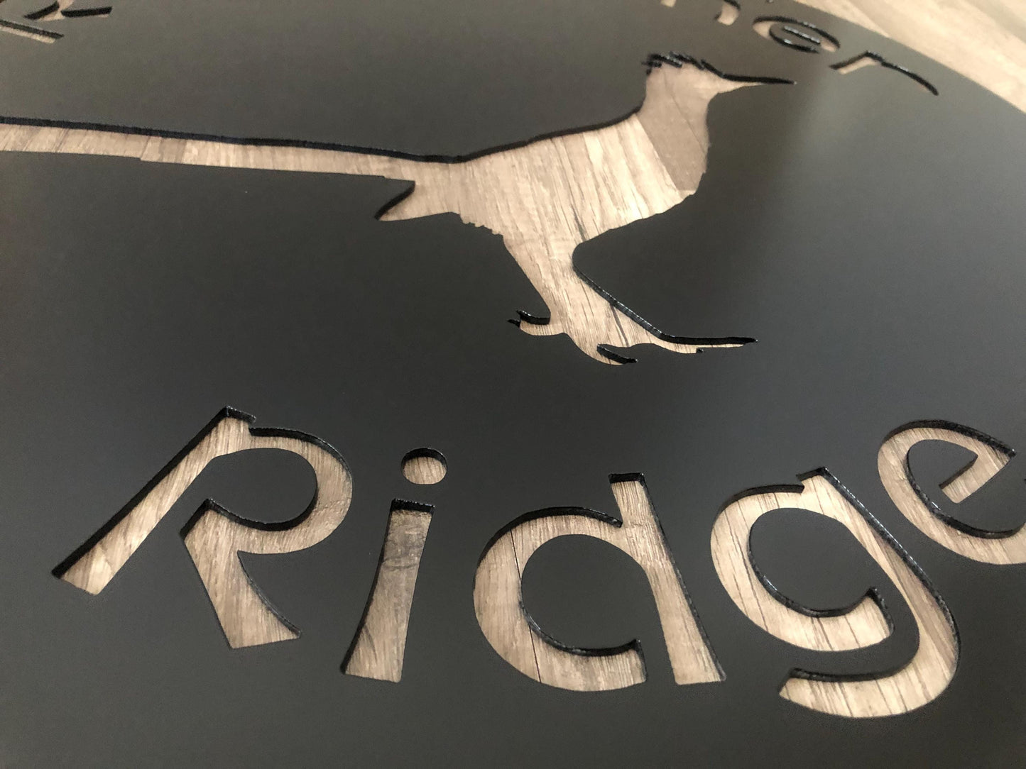METAL ROADRUNNER Sign - Home - Office - Buisness - Personalized Steel Sign - Wall Art - SQ100