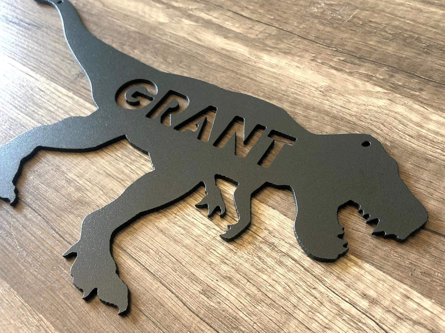 Dinosaur - T Rex - Personalized Steel Sign - Metal Art